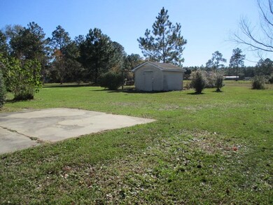 3737 Rountree Bridge Rd, Adel, GA 31620 - photo 5
