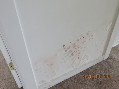 3670 Sherman Ave, Gurnee, IL 60031 - photo 3