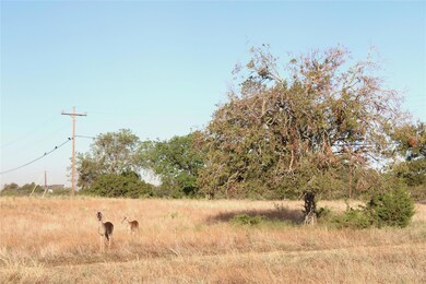 42206 Bay Hill Dr, Whitney, TX 76692 - photo 5