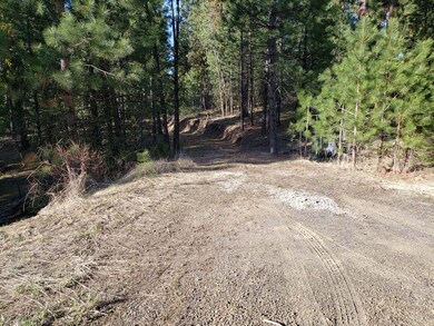 Driveway Roughed In