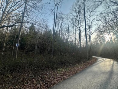 Lot 3 Radford Rd, East Bernstadt, KY 40729 - photo 4