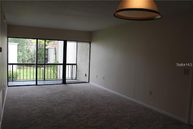 Dining Room - Living Room and Balcony