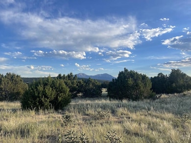 TBD Black Diamond Park, Walsenburg, CO 81089 - photo 6