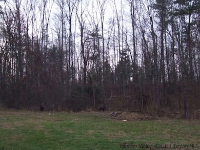 2846 New Prospect Rd, Pine Bush, NY 12566 - photo 7