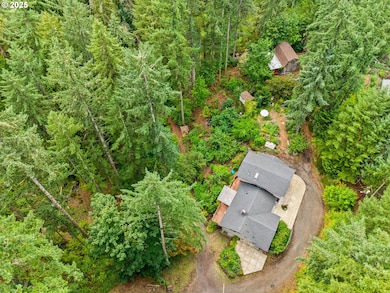 40153 Booth Kelly Rd, Springfield, OR 97478 - photo 3