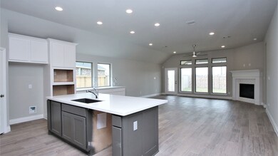 20207 Gray Yearling Trail, Tomball, TX 77377 - photo 4