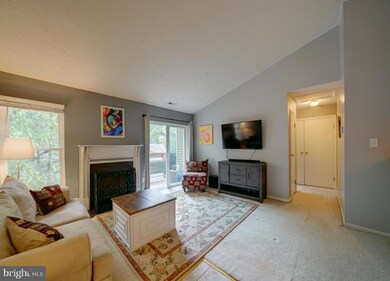 11440 Little Patuxent Pkwy unit 709, Columbia, MD 21044 - photo 3