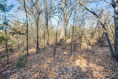 TBD838 County Road 113, Whitesboro, TX 76273 - photo 2