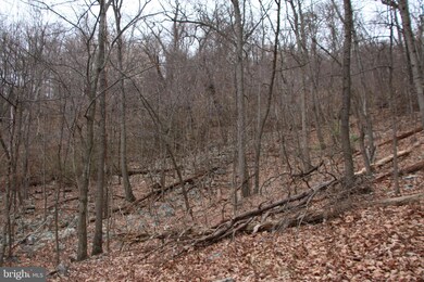 0 0 Back Rd, Toms Brook, VA 22660 - photo 7