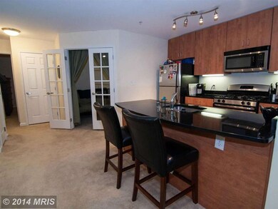 1136 Cove Rd unit 301, Annapolis, MD 21403 - photo 5