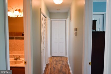 1843 Buck Mountain Rd, Bentonville, VA 22610 - photo 6