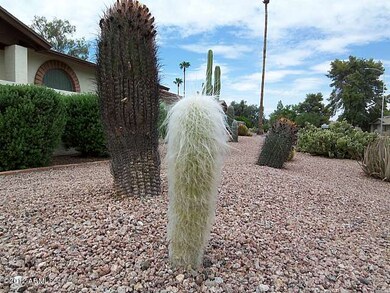 950 W Lindner Ave, Mesa, AZ 85210 - photo 3