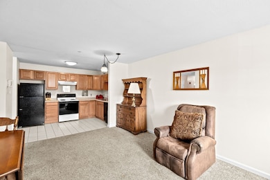 20 Heaths Ct unit 202, Lynn, MA 01905 - photo 7