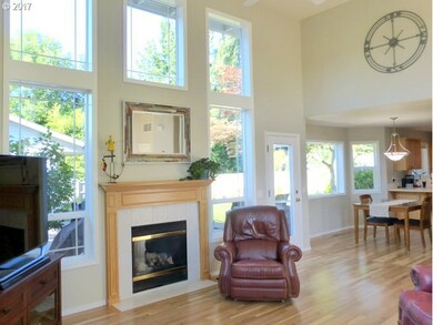 Fireplace Gas
