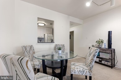 28 Allegheny Ave unit 2606, Towson, MD 21204 - photo 6