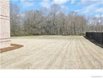 LARGE YARD EXTENDING TO THE WOODS