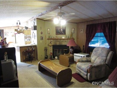 103 Green Acres Dr, Leicester, NC 28748 - photo 7