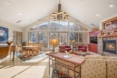 990 E Hopkins Ave, Aspen, CO 81611 - photo 7