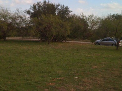 21019 Hill Terrace Ct, Whitney, TX 76692 - photo 4