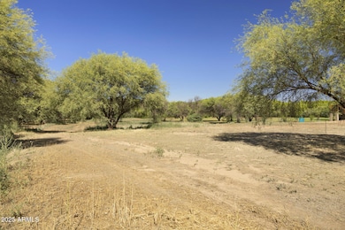 19-web-or-mls-FA9A8772