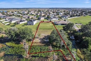 733 Black Eagle Dr, Groveland, FL 34736 - photo 5