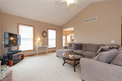 318 Granger Dr, Lagrange, OH 44050 - photo 6