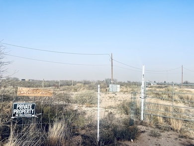 2147 N Crockett, Fort Stockton, TX 79735 - photo 2