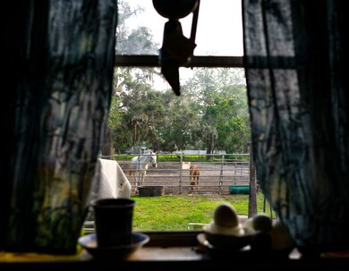 17400 County Road 489, Brazoria, TX 77422 - photo 4