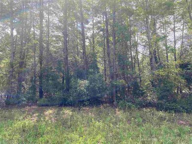 Vacant Sea Urchin Dr, Perry, FL 32348 - photo 6