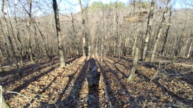 464200 Acorn Ridge, Proctor, OK 74457 - photo 3