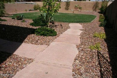 backyard 2