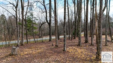 721 Widow Dr, Meadows of Dan, VA 24120 - photo 7