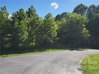 0 Wolf River Ln unit 62, Lake Lure, NC 28746 - photo 5