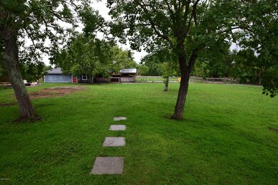 Back Yard 2