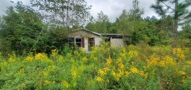 5426 Ione Rd, Pavo, GA 31778 - photo 5