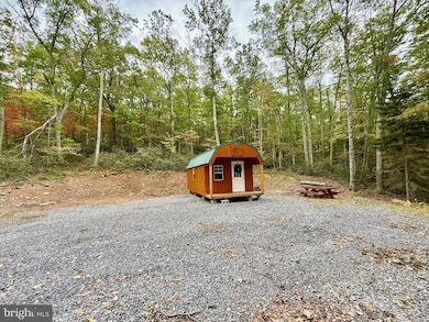 72 Spruce Shadows Ln, Riverton, WV 26814 - photo 4