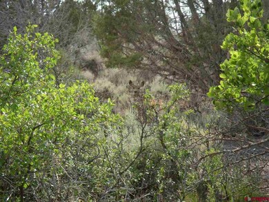 TBD Westridge Rd, Cedaredge, CO 81413 - photo 6