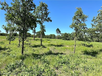 Lot 9 Brenda Ln, Vian, OK 74962 - photo 2