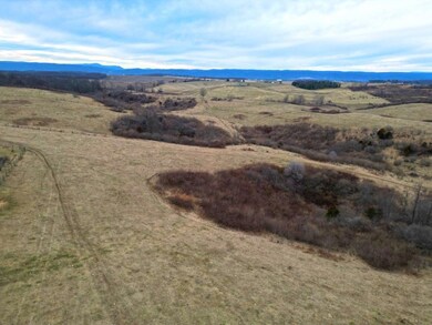 DJI_0236
