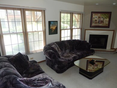 1963 Lancaster Ct unit 1, Naperville, IL 60565 - photo 4