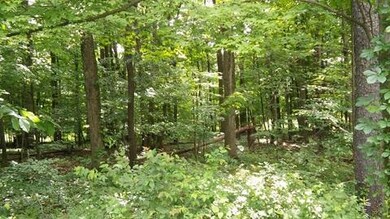 0 Grand Valley View Ct unit 215025511, Howard, OH 43028 - photo 5