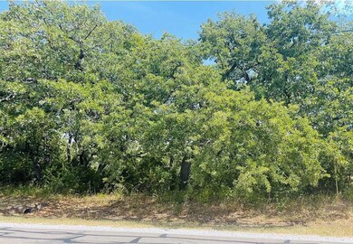 12199 Rolling Oaks Dr, Whitney, TX 76692 - photo 3