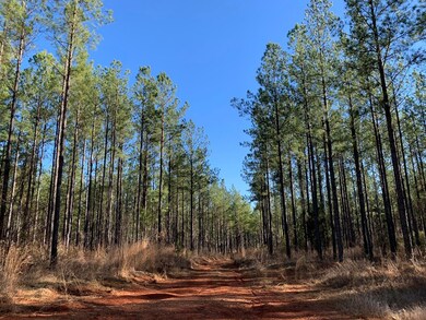 63 ac Lee Road 333, Salem, AL 36874 - photo 2