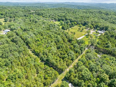 000 Newport, Walnut Shade, MO 65771 - photo 6