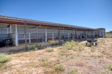 paxmanphoto_PAX_1560