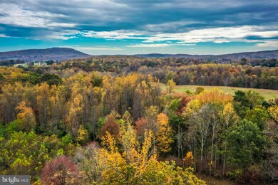 0 Whorton Hollow Rd, Castleton, VA 22716 - photo 7