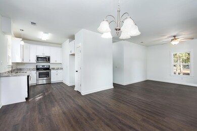 905 Ralph Nesbit Rd, Awendaw, SC 29429 - photo 4