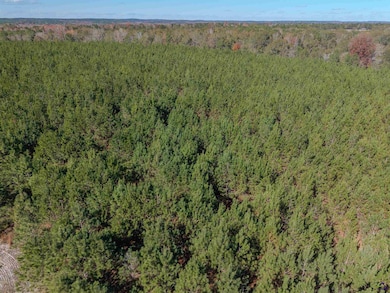 000 Avera Rd, Roberta, GA 31078 - photo 5