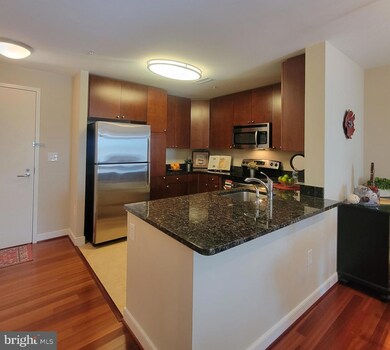 One National Harbor, Oxon Hill, MD 20745 - photo 2