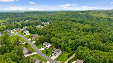 Overview (3)